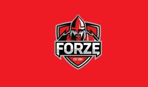 Подробнее о статье FORZE покинули CCT East Europe Series #3