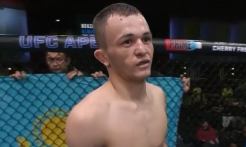 Подробнее о статье Сколько заработал казахстанский дебютант UFC за бой с братом Хабиба