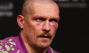Подробнее о статье Лошадь нокаутировала Александра Усика