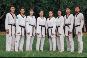 Подробнее о статье Казахстанские таеквондисты поборются за золотую медаль турнира в Южной Корее