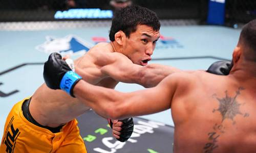 Вы сейчас просматриваете Громкой сенсацией обернулся исторический бой Казахстана на турнире UFC